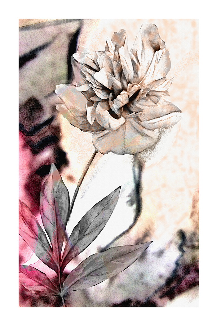 Flower Abstract Poster