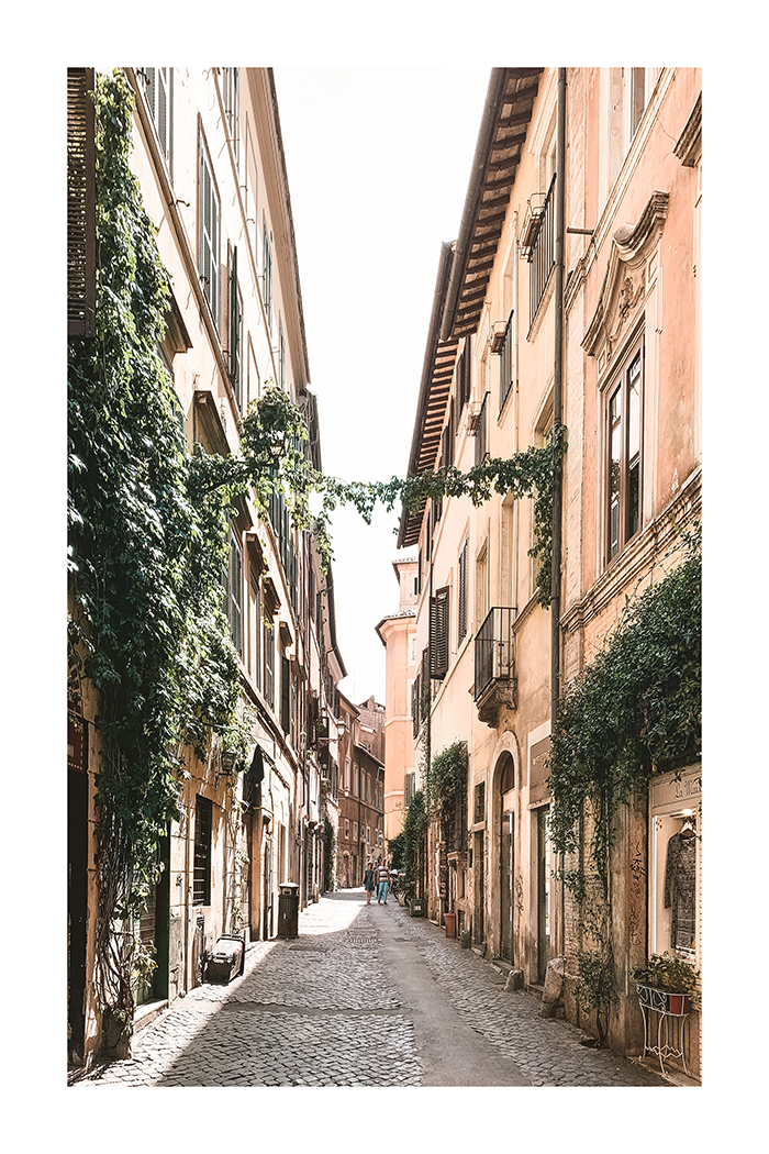 Alley of House Poster