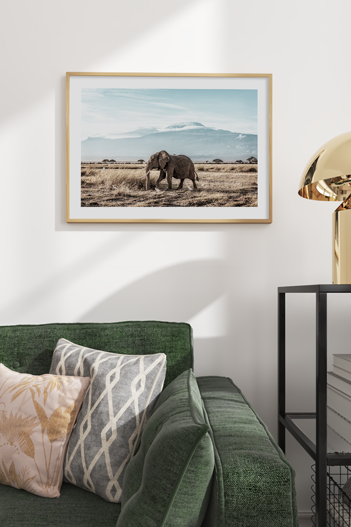Elephant Walking on the Wild Poster