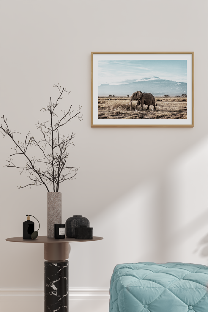 Elephant Walking on the Wild Poster