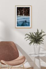 Snowy Forest Poster