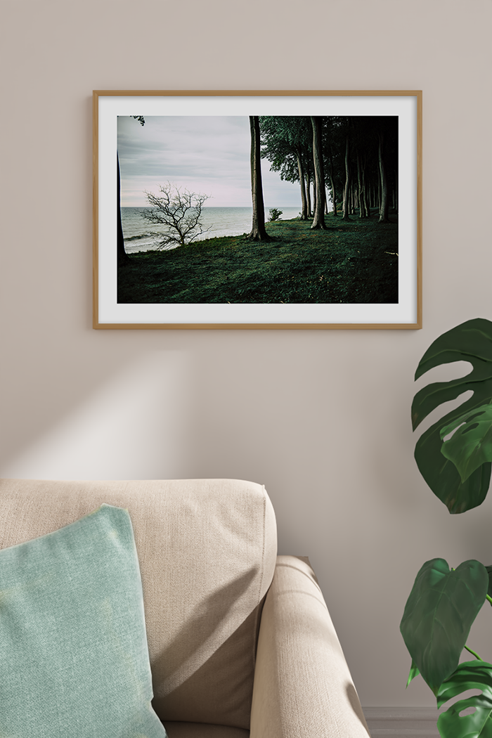 Seaside Forest Poster