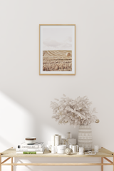 Autumn Field Poster