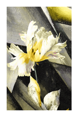 Yellow Flower Poster