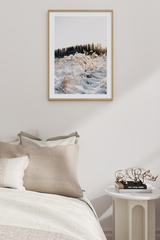 Snow on Reed Poster