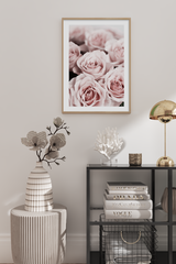 Light Pink Roses Poster