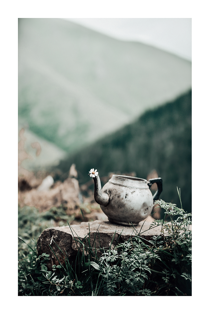 Old Teapot in Wild Poster