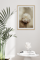 Dahlia Detail Poster