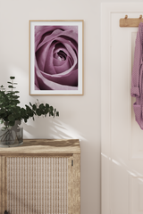 Purple Rose Detail Poster