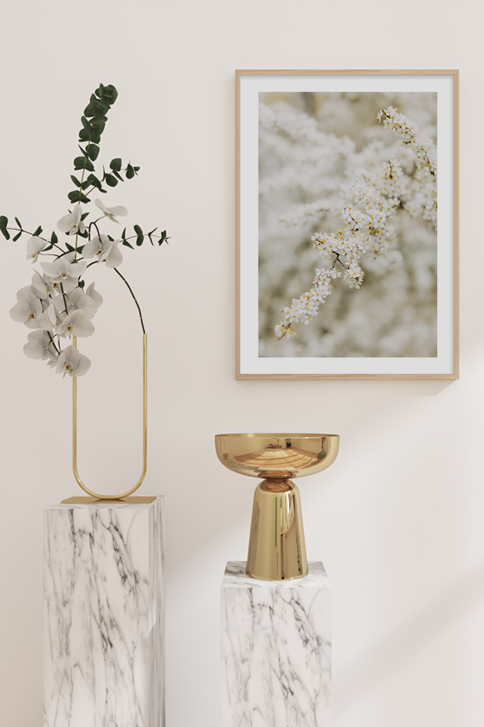 White Cherry Flowers Poster
