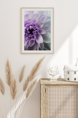 Dahlia Petals Detail Poster