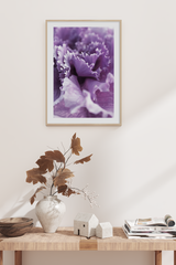 Purple Carnation Poster