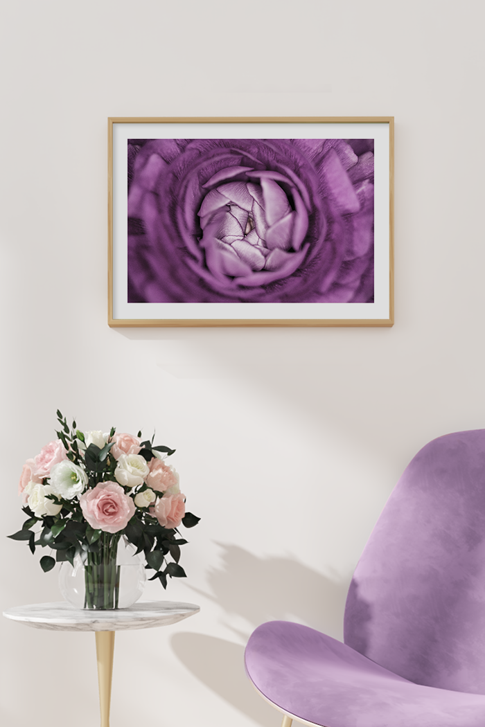 Purple Rose Budding Poster