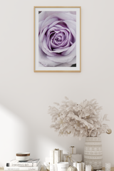 Light Purple Rose Poster