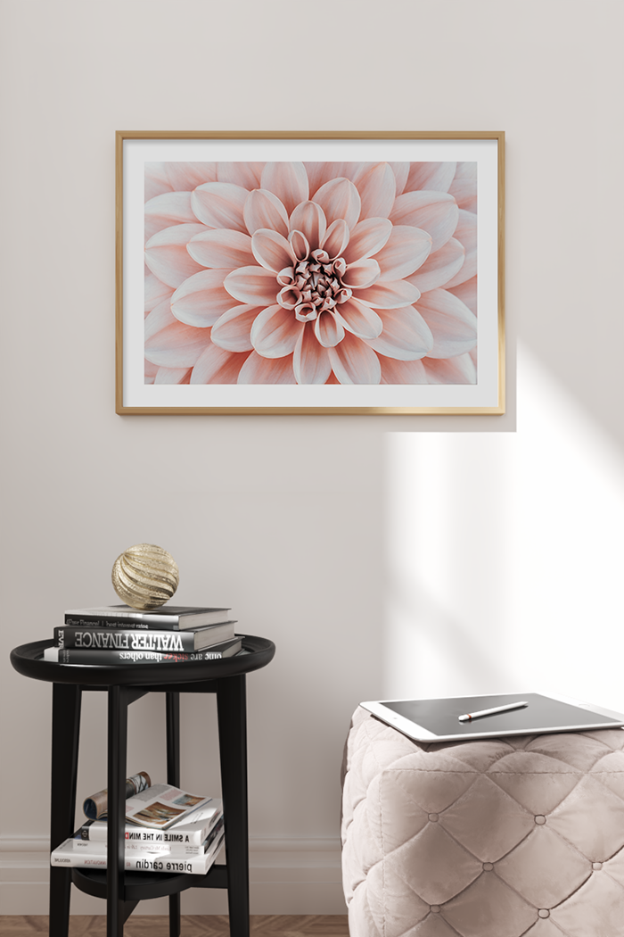 Warm Dahlia Poster