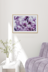 Purple Magnolia Poster