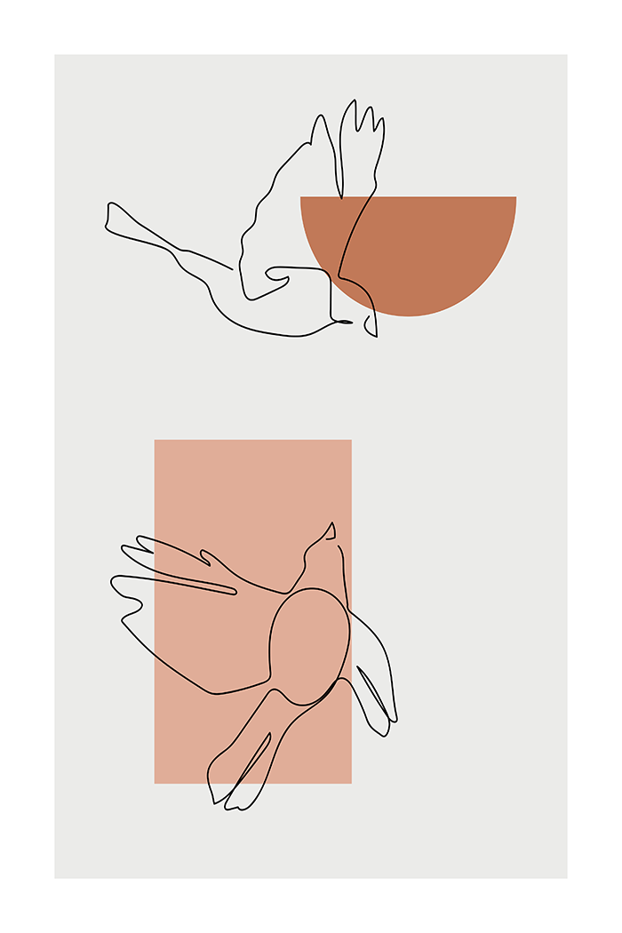 Pigeons Line Poster