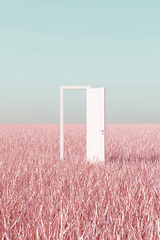Pink Field White Door Poster