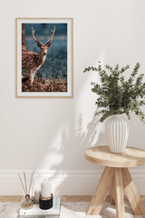 Sika Deer Poster