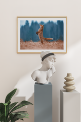 Tiptoe Fox Poster