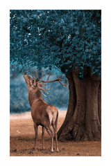 Deer Under the Tree Poster