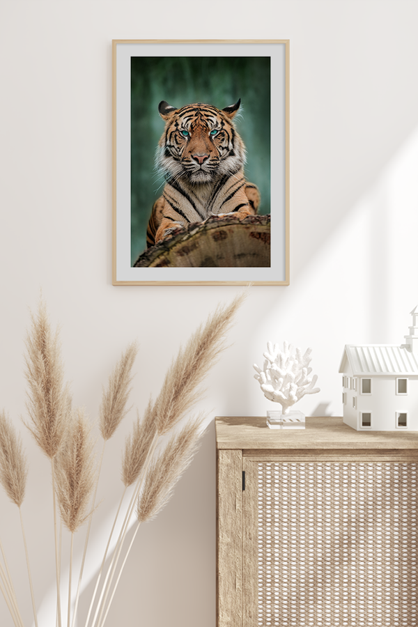 Fierce Tiger Poster