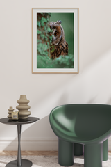 Owl Behind the Tree Poster