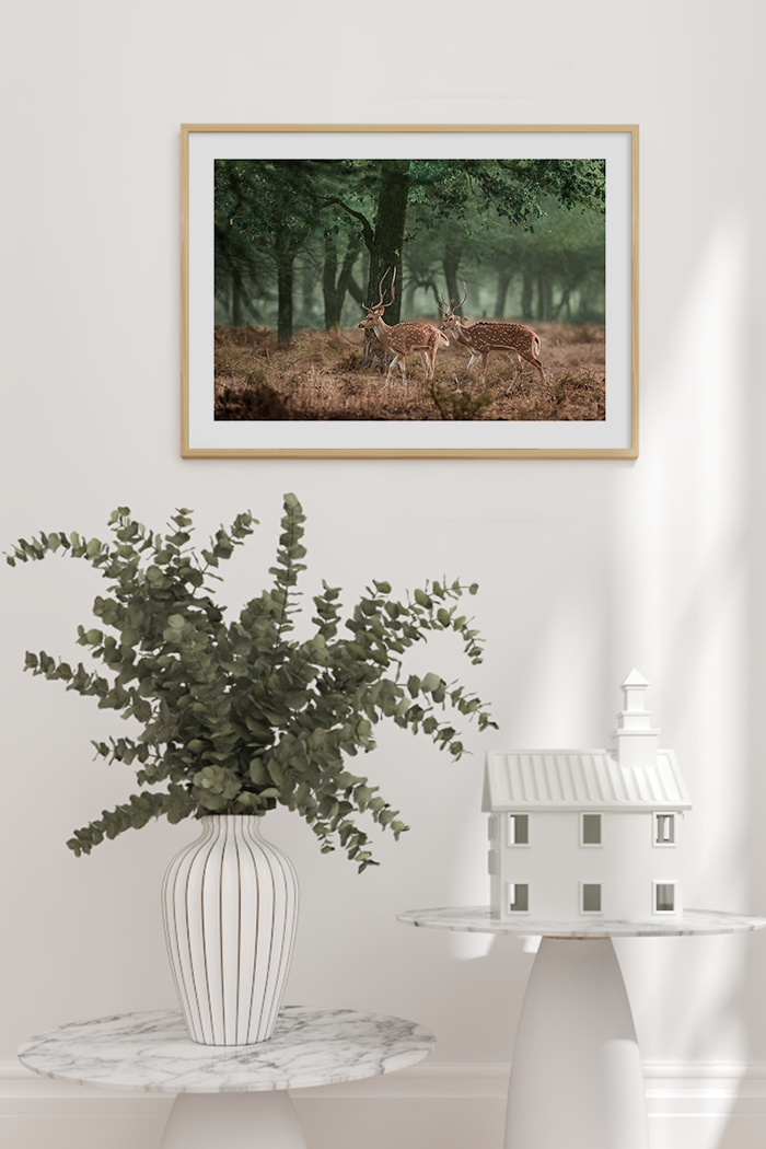 Skinny Sika Deer Poster