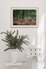 Skinny Sika Deer Poster