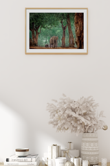 Mother and Baby Elephant Poster