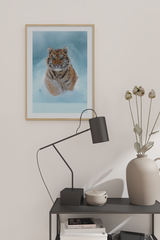 Little Tiger Poster