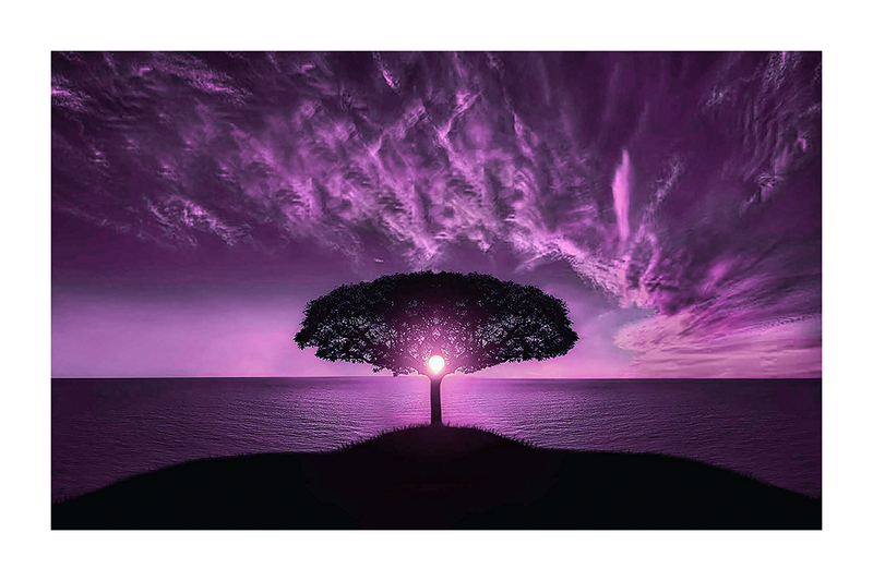 Stunning Purple Sky Poster