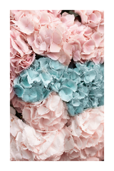 Pink Cyan Flower Poster