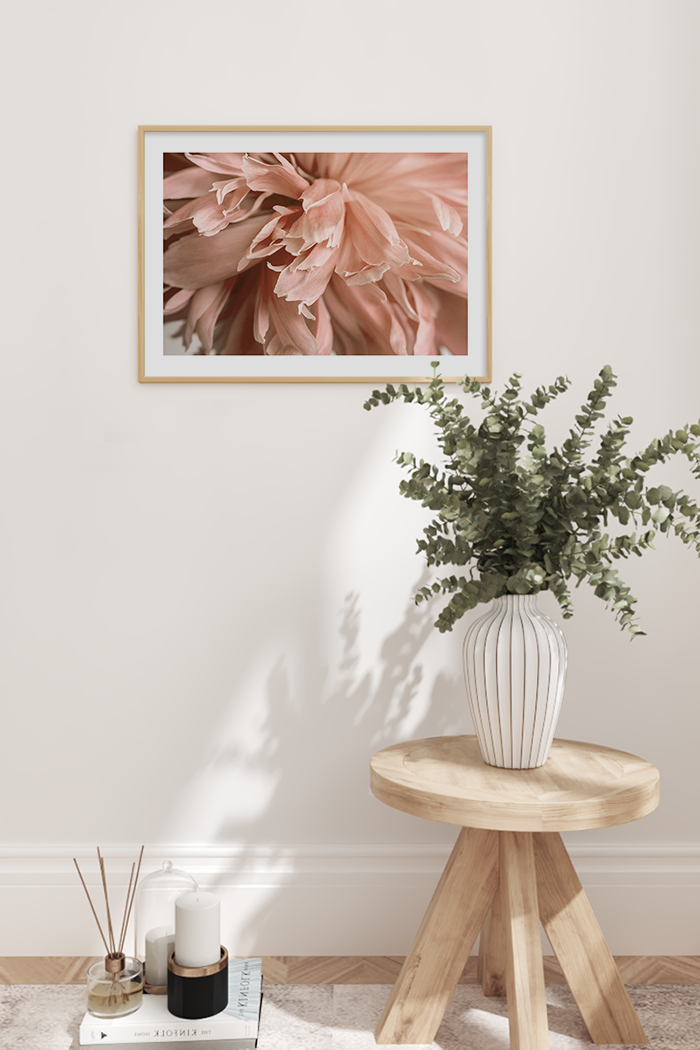 Pink Paeonia Poster