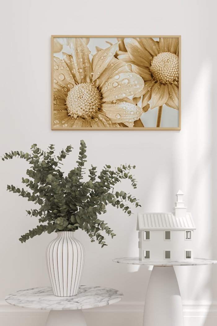Yellow Gerbera Poster