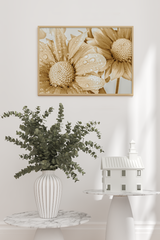 Yellow Gerbera Poster