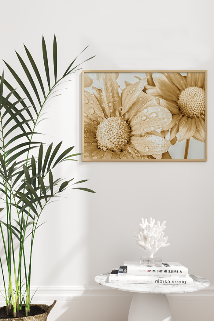 Yellow Gerbera Poster