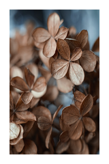 Brown Dry Leaves Poster