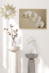 White Orchid Poster