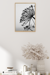 Black Cow Parsnip Poster