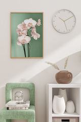 Light Pink Orchid Poster