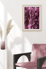 Pinky Purple Petals Poster