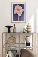 A Light Pink Narcissus Poster