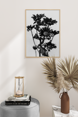 Black and White Gerbera Poster