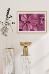 Epiphyllum Detail Poster