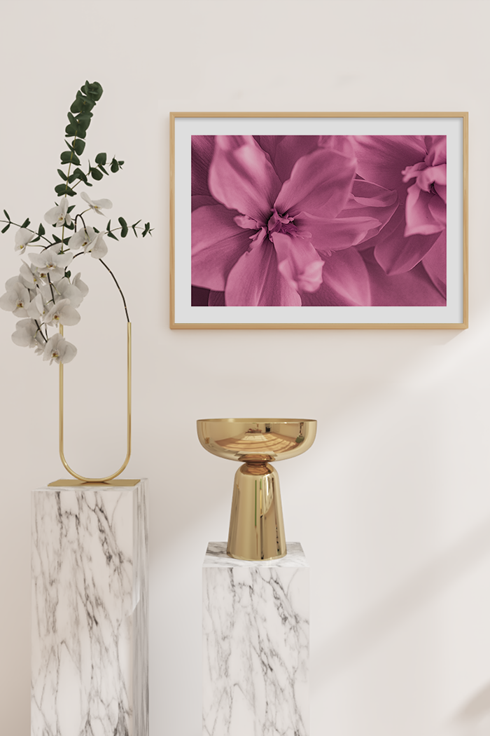 Epiphyllum Detail Poster