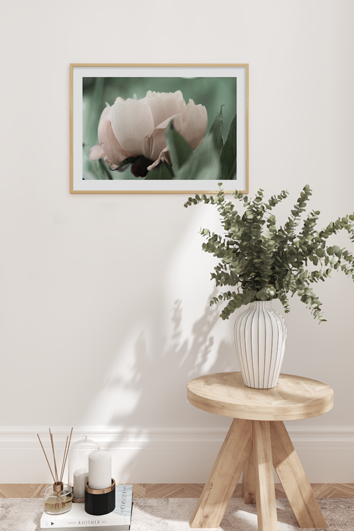 Blooming Tulip Poster