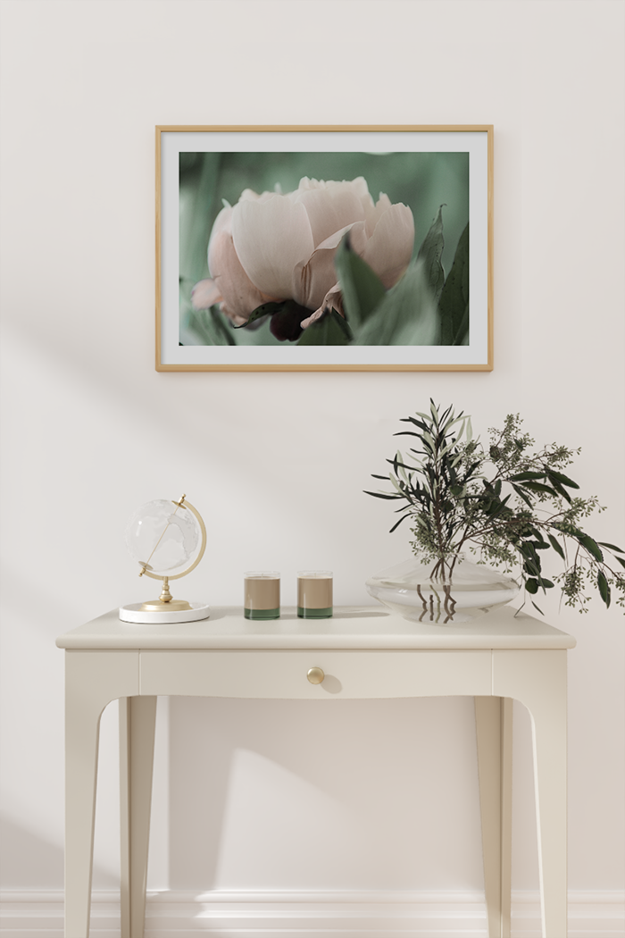 Blooming Tulip Poster