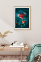 Red Tulip Poster