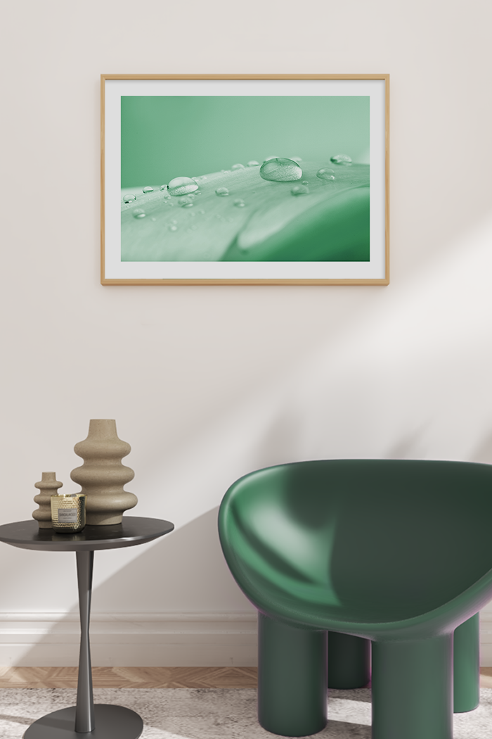 Water Drop on Leaf Poster